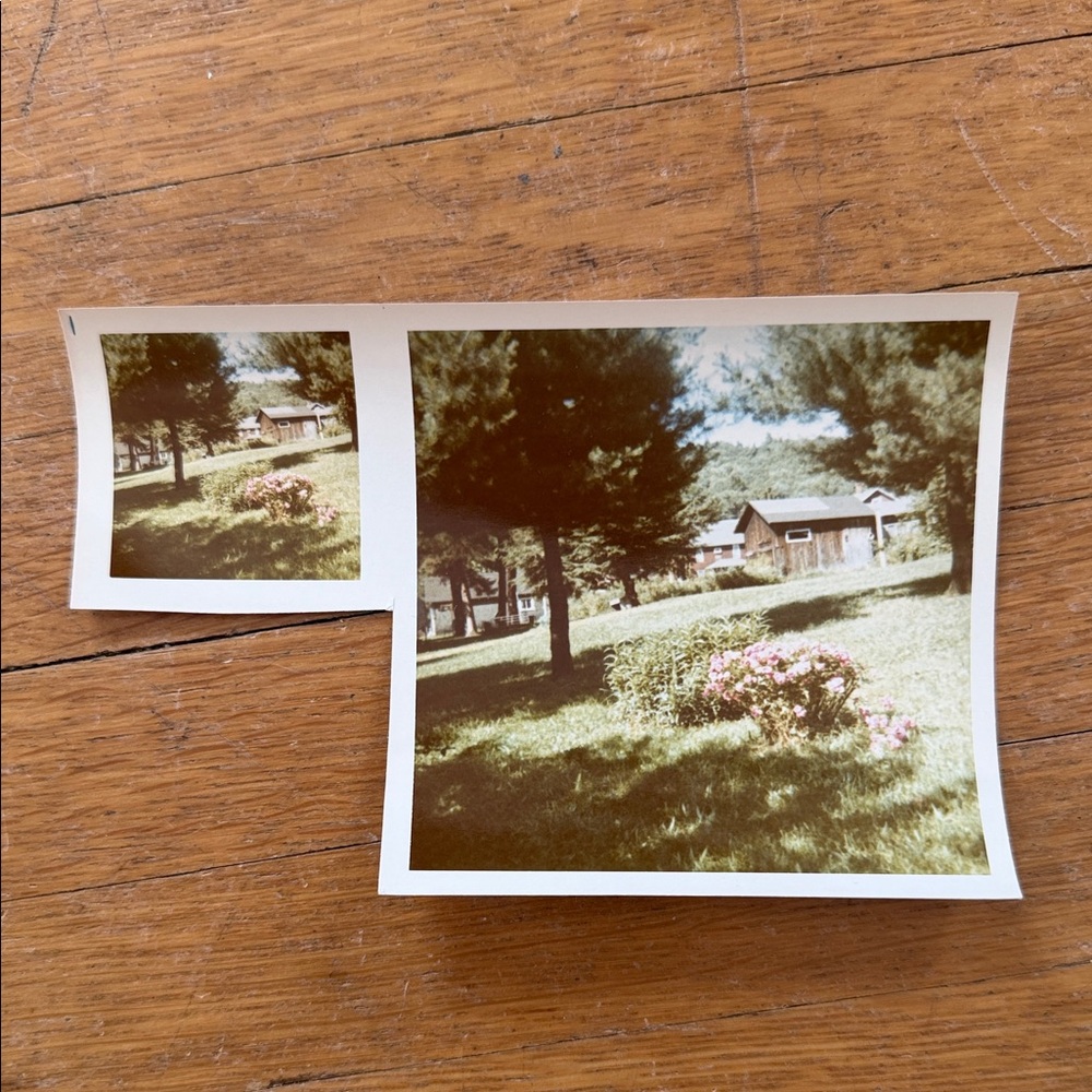 Vintage Photo Collection - Picture 9 of 11